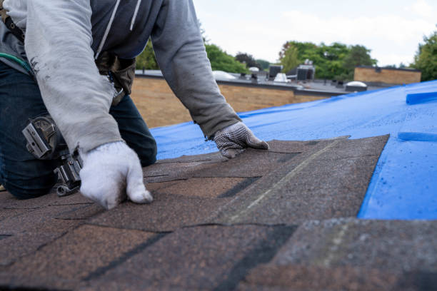 Best Commercial Roofing Services  in Albion, NY