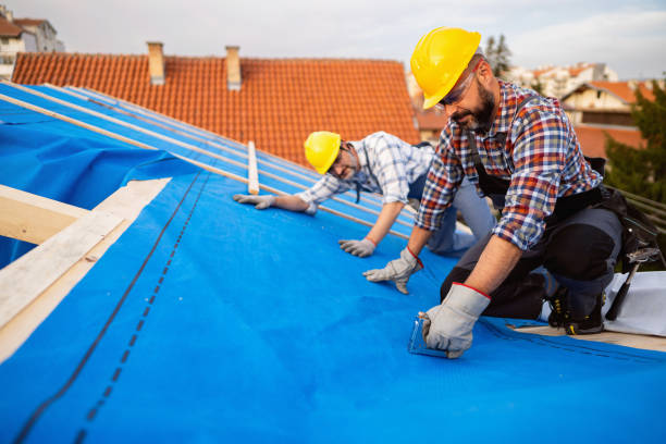 Best Roof Restoration Services  in Albion, NY